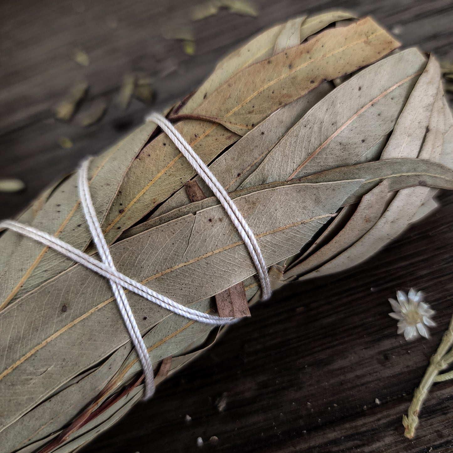 Cleansing Wand- EUCALYPTUS